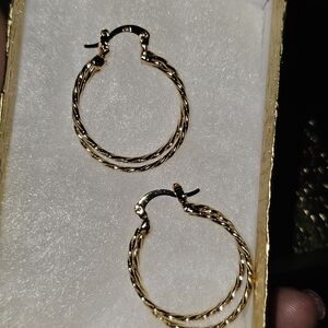 Elegant Gold Hoop Earrings